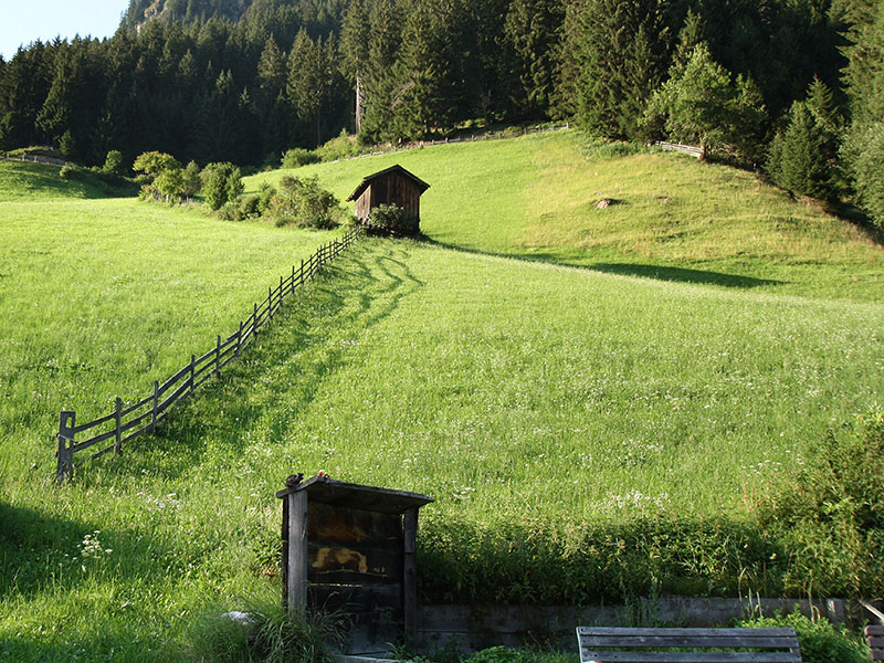 [Translate to en:] Wiese vor dem Alpengasthof Bärenbad